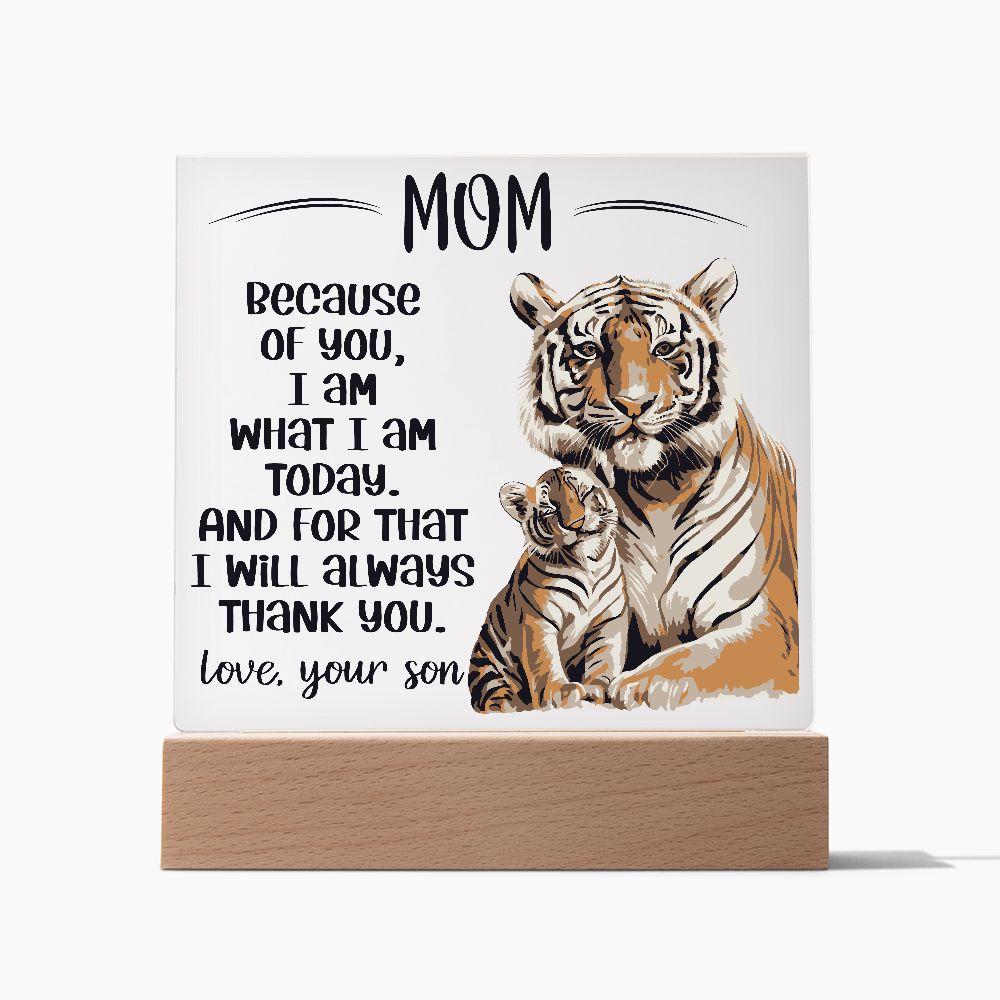 Acrylic Plaque Gift Mom from Son