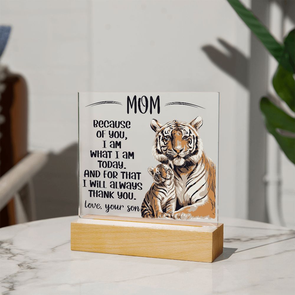 Acrylic Plaque Gift Mom from Son