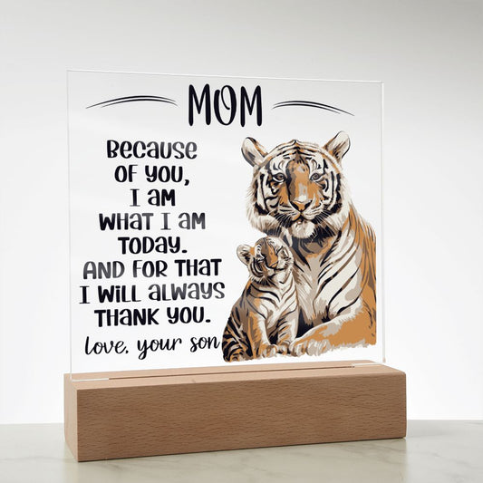 Acrylic Plaque Gift for Mom from Son