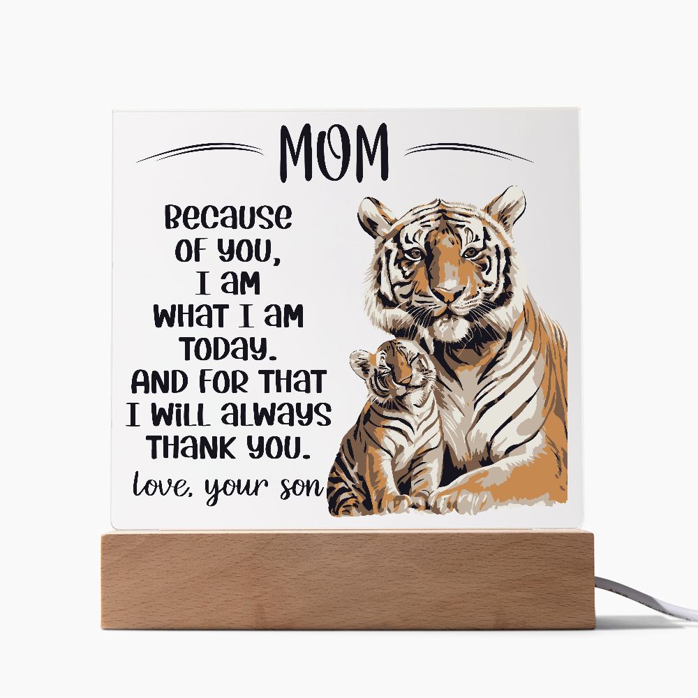 Acrylic Plaque Gift Mom from Son