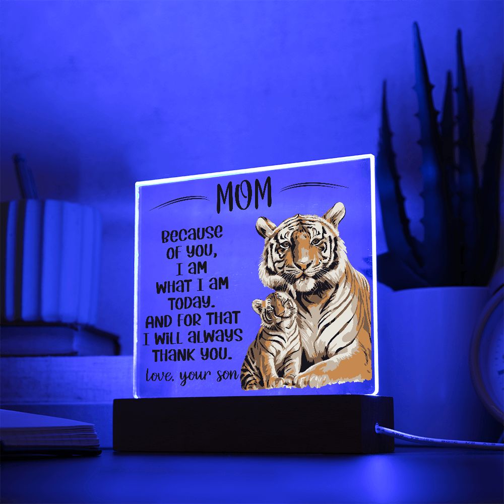 Acrylic Plaque Gift Mom from Son