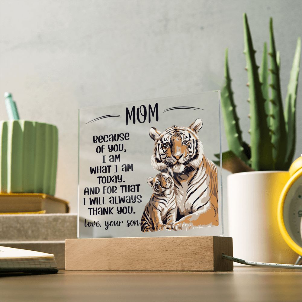 Acrylic Plaque Gift Mom from Son